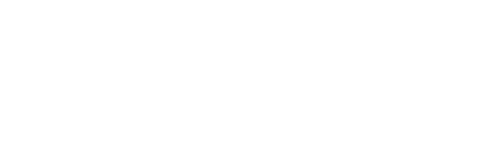 Damani Group